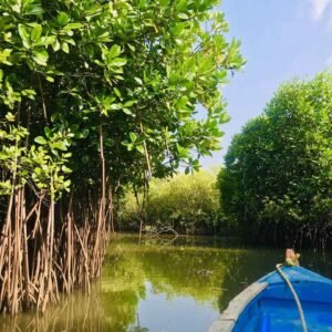 Trichy Sightseeing Places