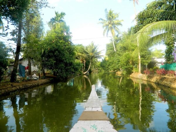 Adventure Trip From Coimbatore - Image 3