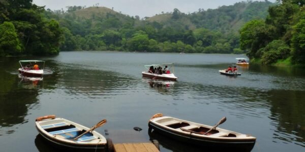 Bangalore-Coorg-Waynad-Mysore Tour Packages - Image 3