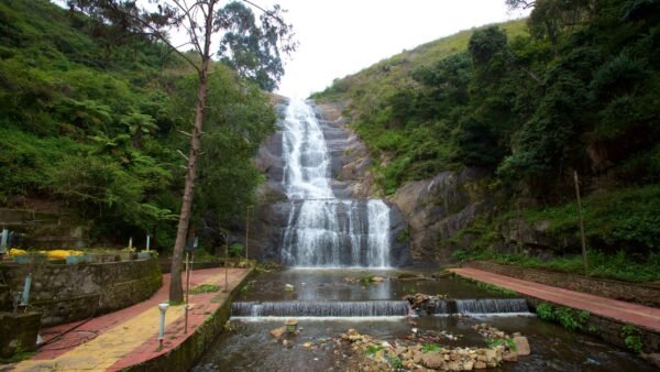 10 Days Kerala Tour Packages - Image 2