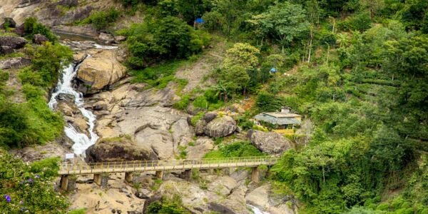 Family Group Tour Packages