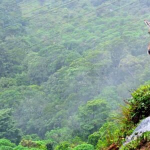 10 Days Kerala Tour Packages