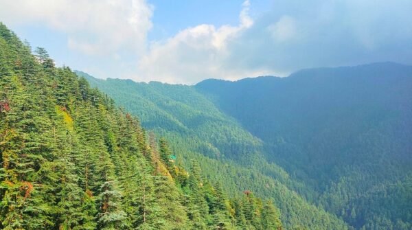 Explore Shimla Tour Packages - Image 2