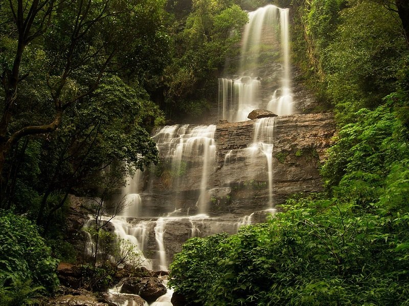 Coorg & Chikmangalore Tour Packages