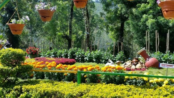 12 Days South India Tour Packages from Bangalore - Image 4