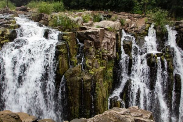 Tamilnadu Village Tour Packages - Image 6