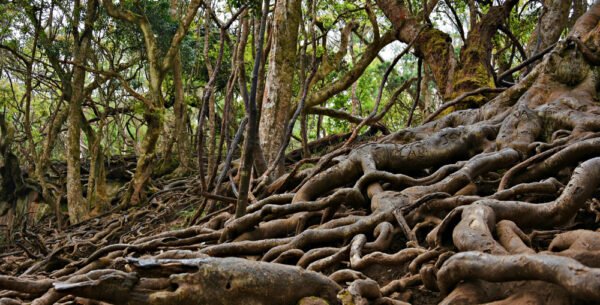 Tamilnadu Sightseeing Places - Image 3