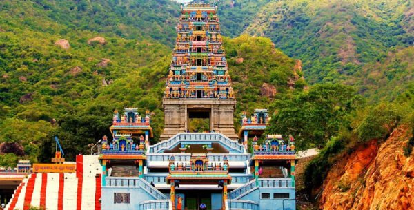 Ooty Trip Packages From Coimbatore - Image 9