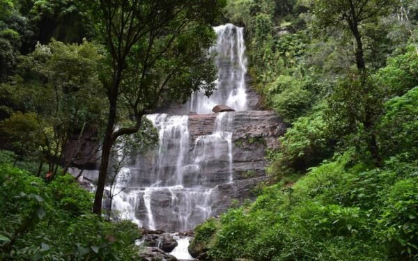 Chikmangalore - Coorg Tour Packages - Image 4