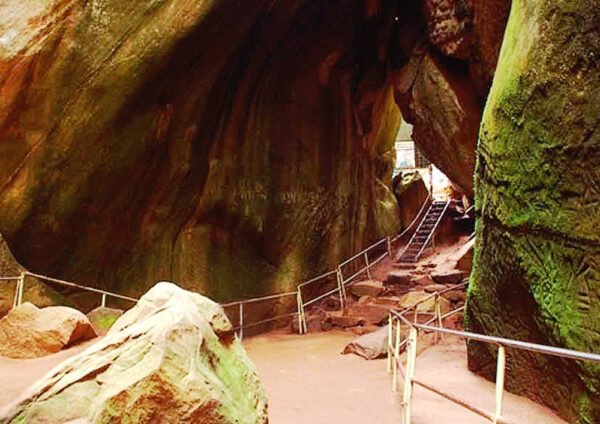 Waynad Honeymoon Trip Packages - Image 6