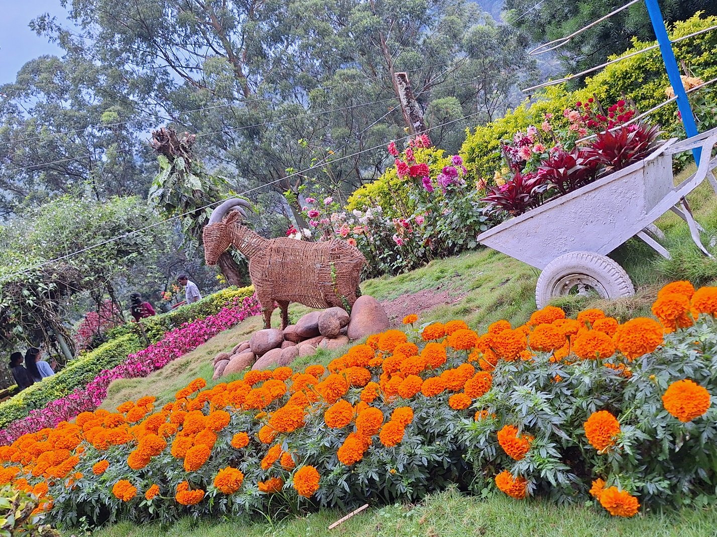 Scenic Kerala Tour Package - Image 3