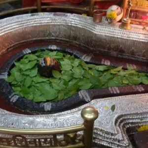 10days Shirdi & Jyothirlinga Trip PackageS