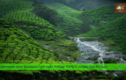 Munnar Tours