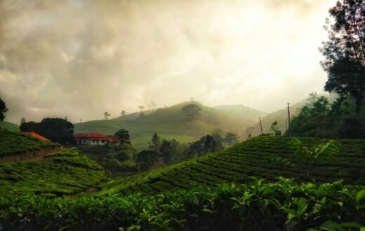 Kerala Tours