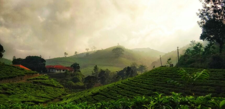 Kerala Tours