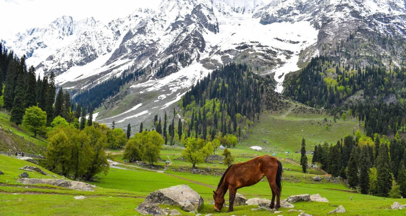 Jammu and Kashmir packages